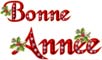 Bonne Année !