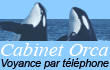Orca voyance
