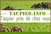 TAUPIER - réseau de taupiers