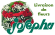 Josepha - Livraison de fleurs