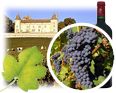 Commerce /boissons /vin /domaine viticole