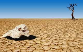 Rechauffement climatique